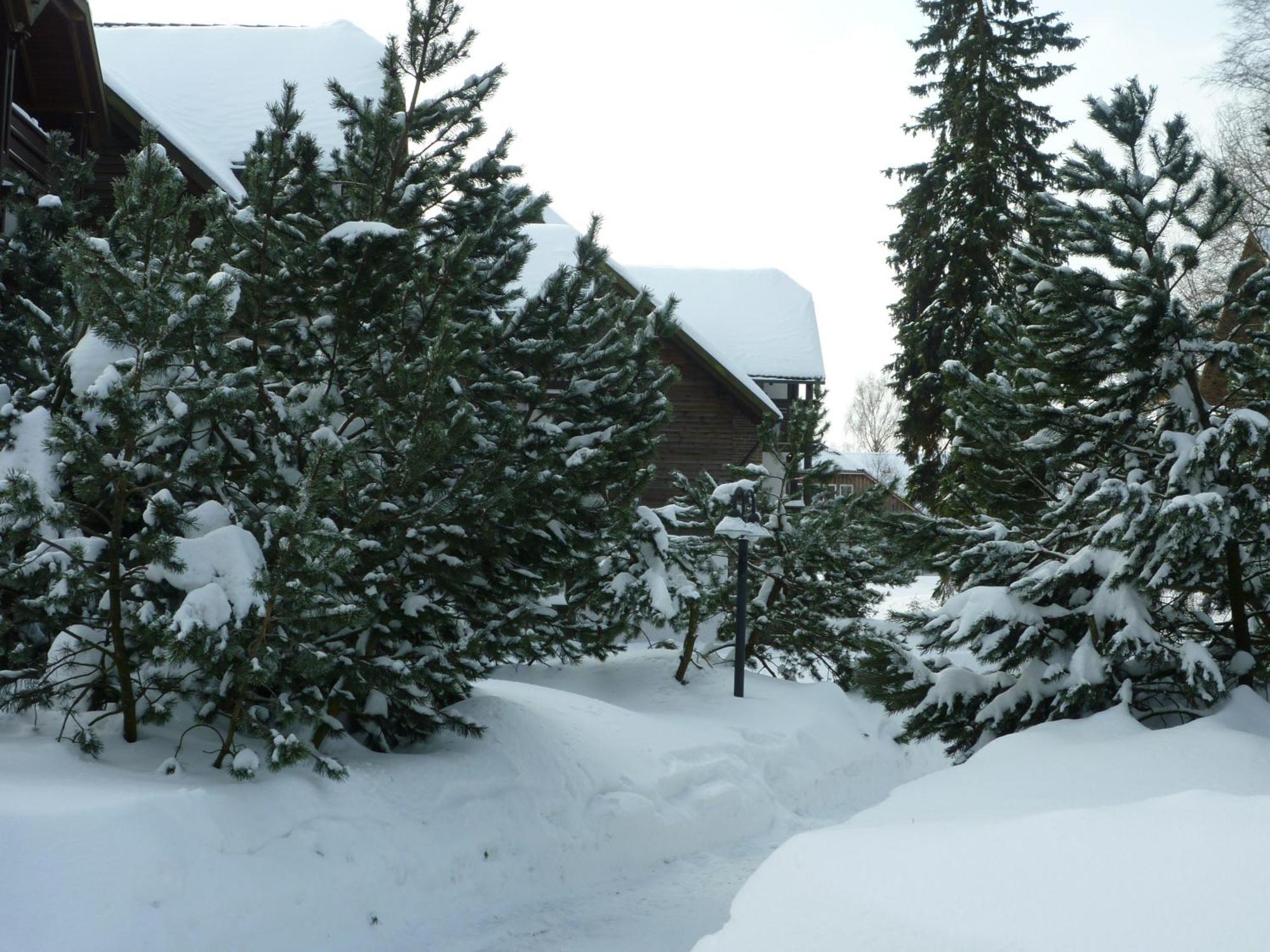Hapimag Ferienwohnungen Braunlage Luaran gambar